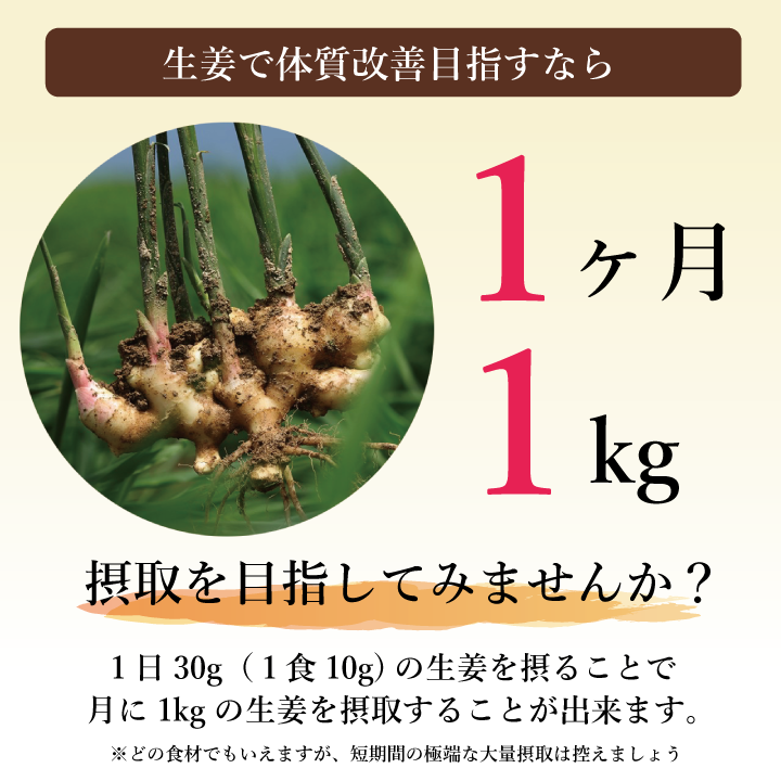乾燥生姜07