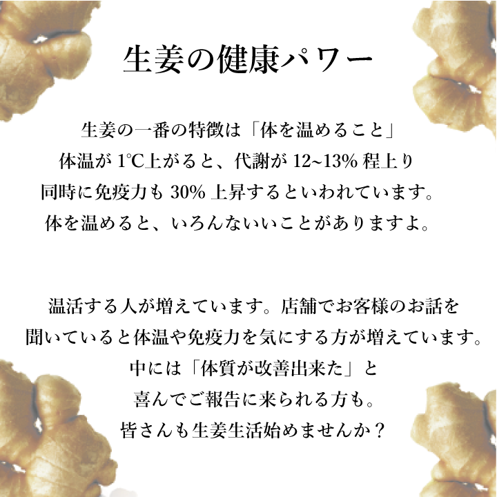 乾燥生姜09