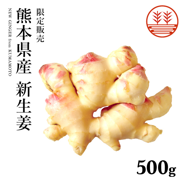 熊本県産無農薬新生姜500g